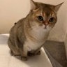 usocute˙Ⱉ˙ profil fotoğrafı