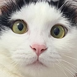 조말꾸🎗's profile picture