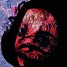 ward of nothingness's profile picture