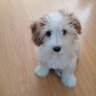 gloly_2830 的头像