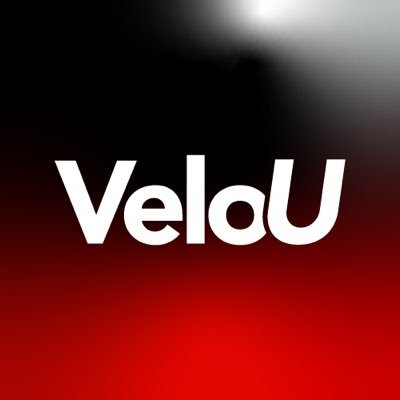 velouniversity's profile picture