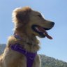 Luna profil fotoğrafı
