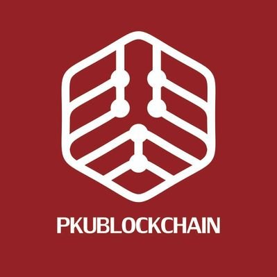 PKUBlockchain's profile picture