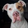 Andrea Kerby's profile picture