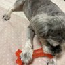 常に賢者でありたいですね 的头像