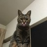 そら。 profil fotoğrafı