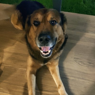 AdvocatBeliever's profile picture