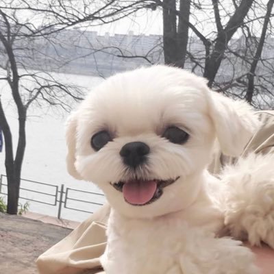 𝗠 & 𝗺 👩🏻💻's profile picture