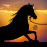 Фото профиля Abdullah