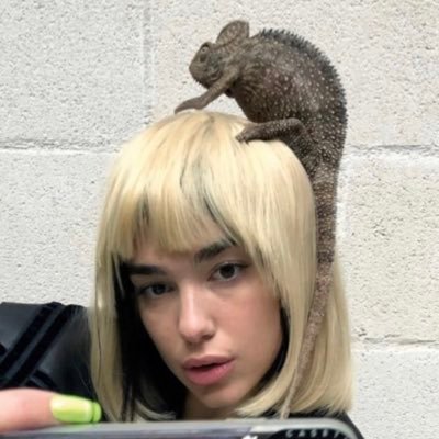 duadior's profile picture