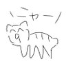 きゃわにっすぃー profil fotoğrafı