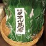 まろまろ's profile picture