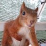 Фото профиля 椪氣🐿️
