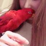 Фото профиля みほʕ •́؈•̀ ₎