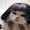 Nio's profile picture