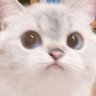 咕?'s profile picture