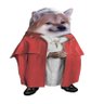 Papies's profile picture