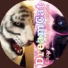 DreamCat 🐈's profile picture