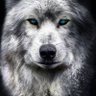 Alberto Llorens's profile picture