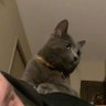 Teddy Woods's profile picture
