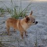 Profilbild von Sue