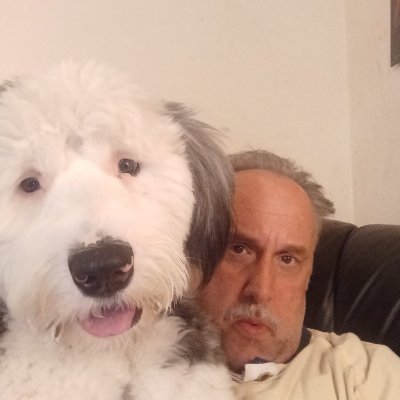 Lovable Liberal and his Old English sheepdog's profile picture