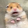 Cheng Zhi's profile picture