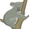 コアラ's profile picture