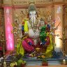 rohitmaru's profile picture
