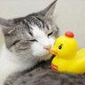 のっちゃん💚💙💜何時も笑顔で profil fotoğrafı