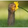 Verdades Amargas profil fotoฤrafฤฑ