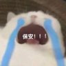 风风 的头像