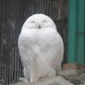 ヒトシ's profile picture