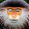 Profilbild von A Benny Hill moment ...
