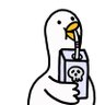 White Bird 的头像