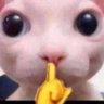 Of the loss's profile picture