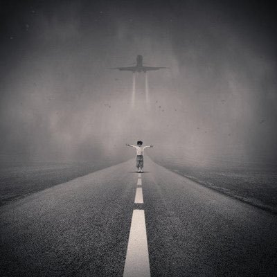 we779911's profile picture