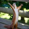 frederico fred's profile picture