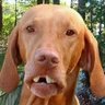 Tar Zander profil fotoğrafı