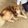 MKS 的头像