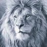 GOATish LION 🦁's profile picture