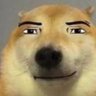 Profilbild von Shiny_