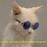 seasmoke's profile picture