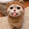 Profilbild von 山河安康