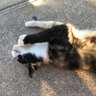 なないち 的头像