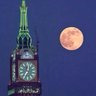 ابووو عبدالله's profile picture