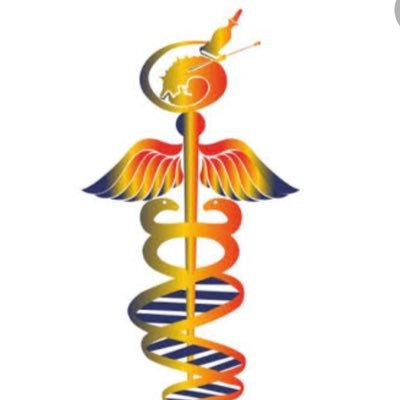SocietyofFetMed's profile picture