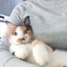 Фото профиля Niisa