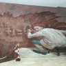 Jan Lang's profile picture