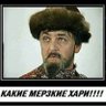 😜воскресший profil fotoğrafı